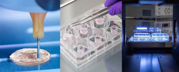 Cell-BioPrint