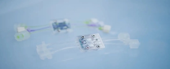 Organ-on-chip