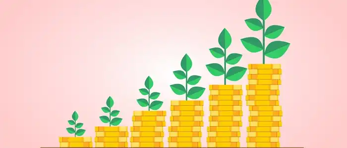 funds_PabitraKaity
